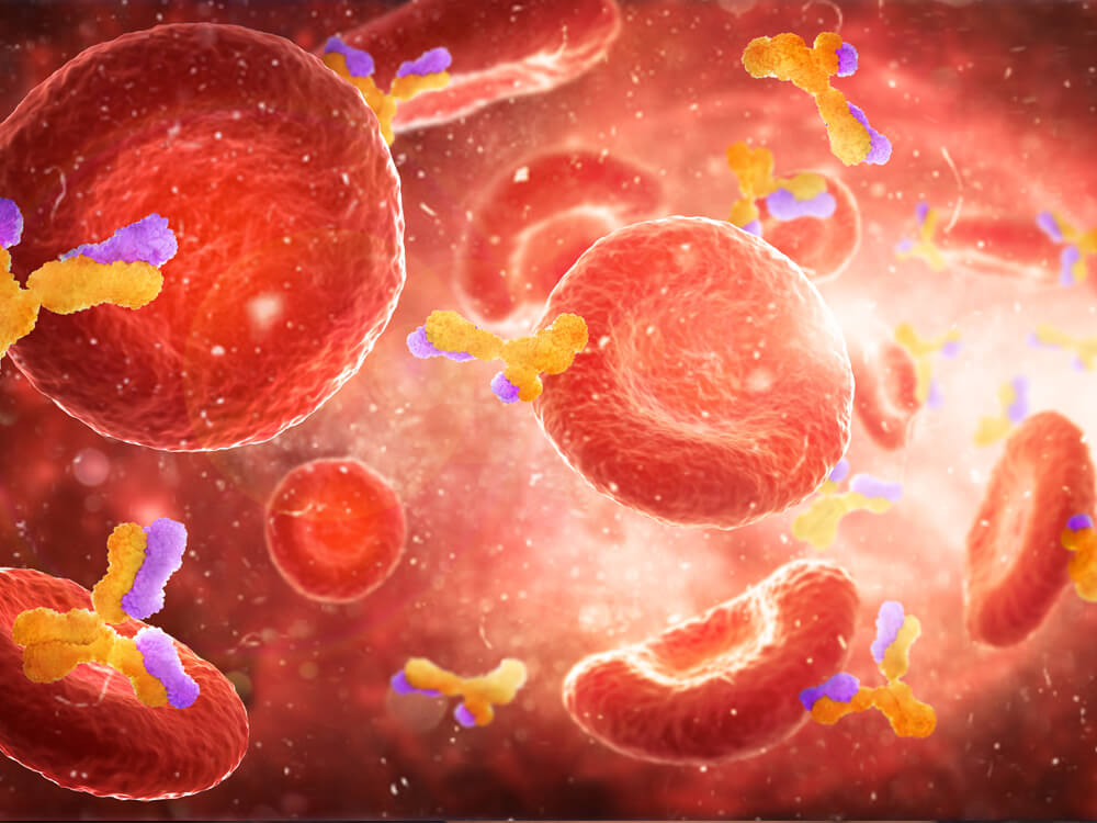 Immune Boost